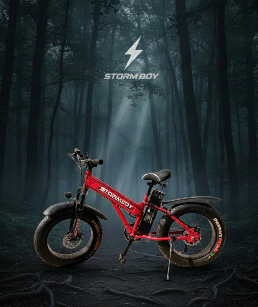 Gemini_Generated_Image_kvu9l1kvu9l1kvu9 (2)